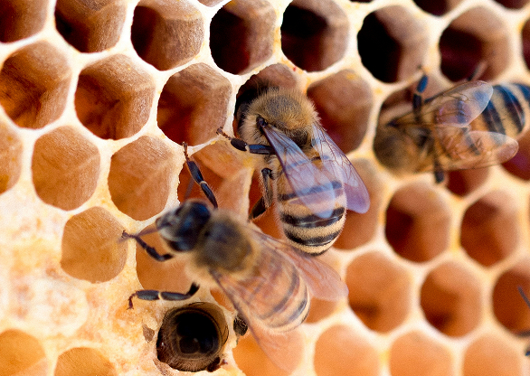 iria-portela-psicologia-psicoterapia