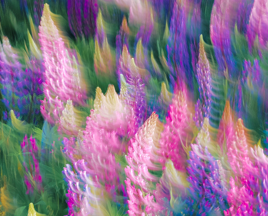 iria-portela-trabajo-equipo